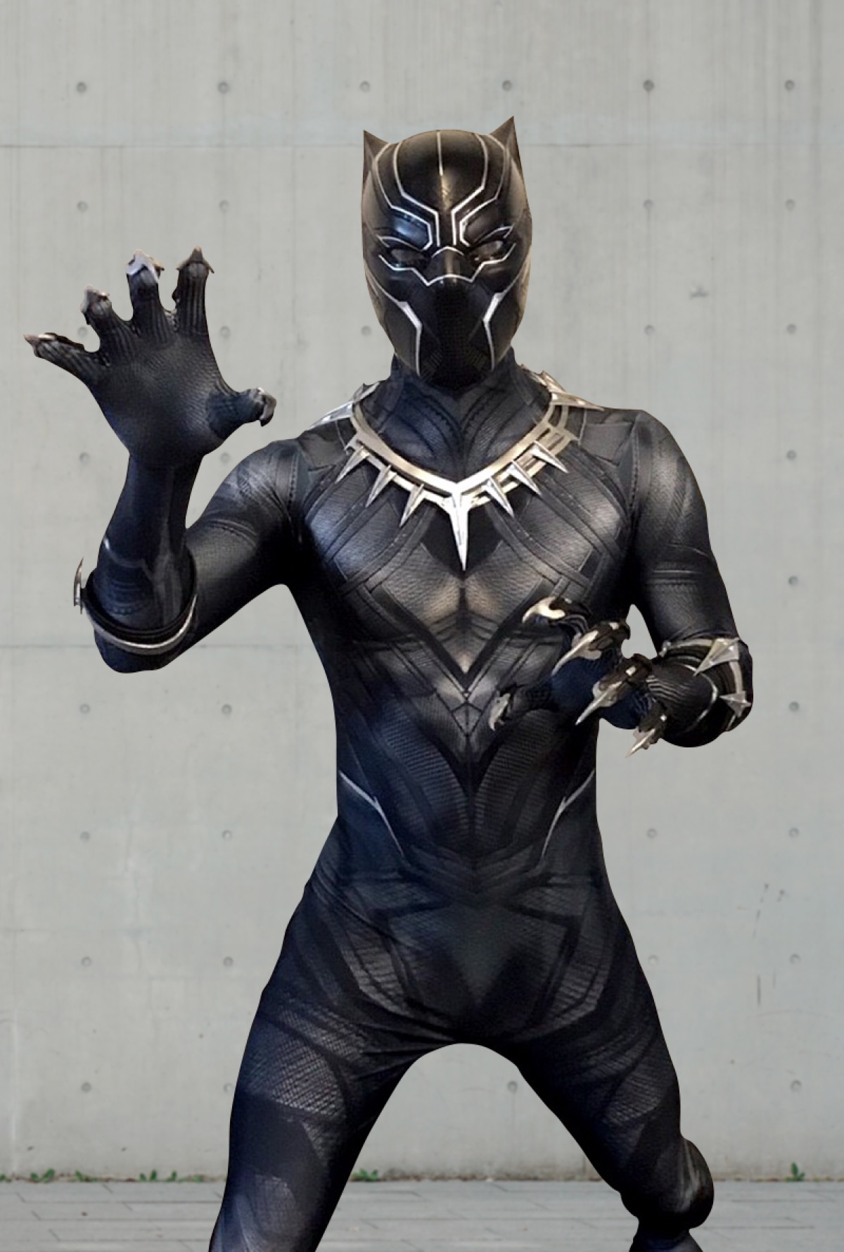 Hire Black Panther for birthday parties - Avengers superhero character performer