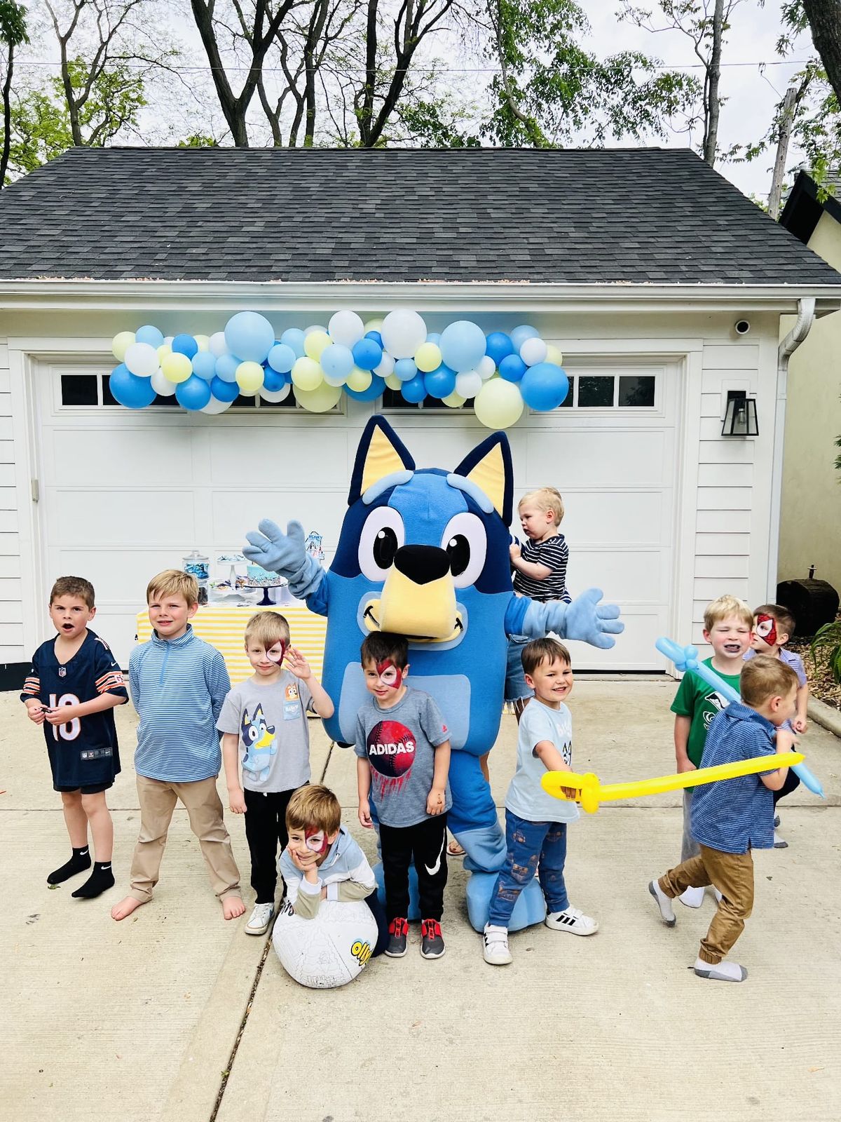 Hire Bluey