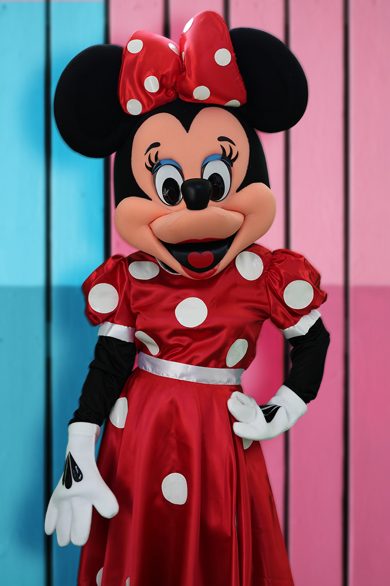 Minnie Mouse character at birthday party