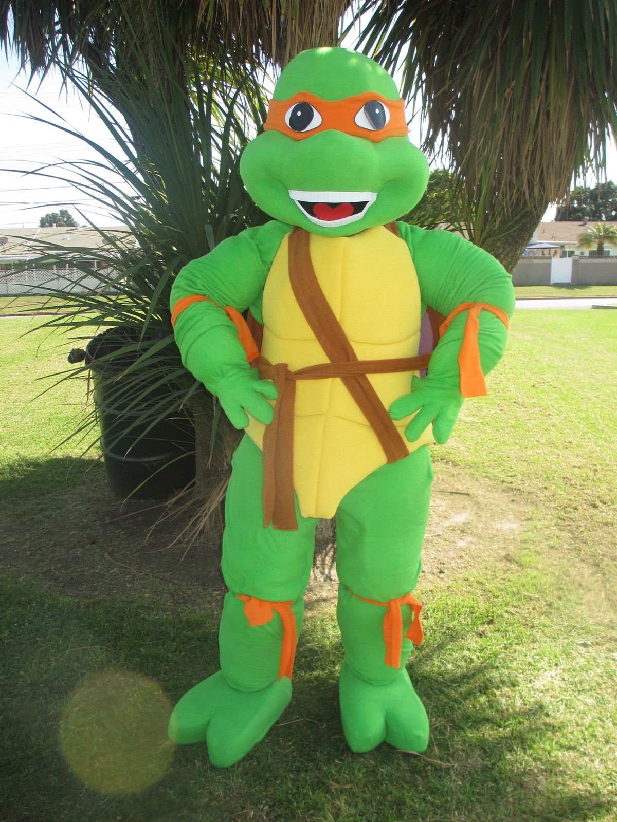 Ninja Turtle character at birthday party